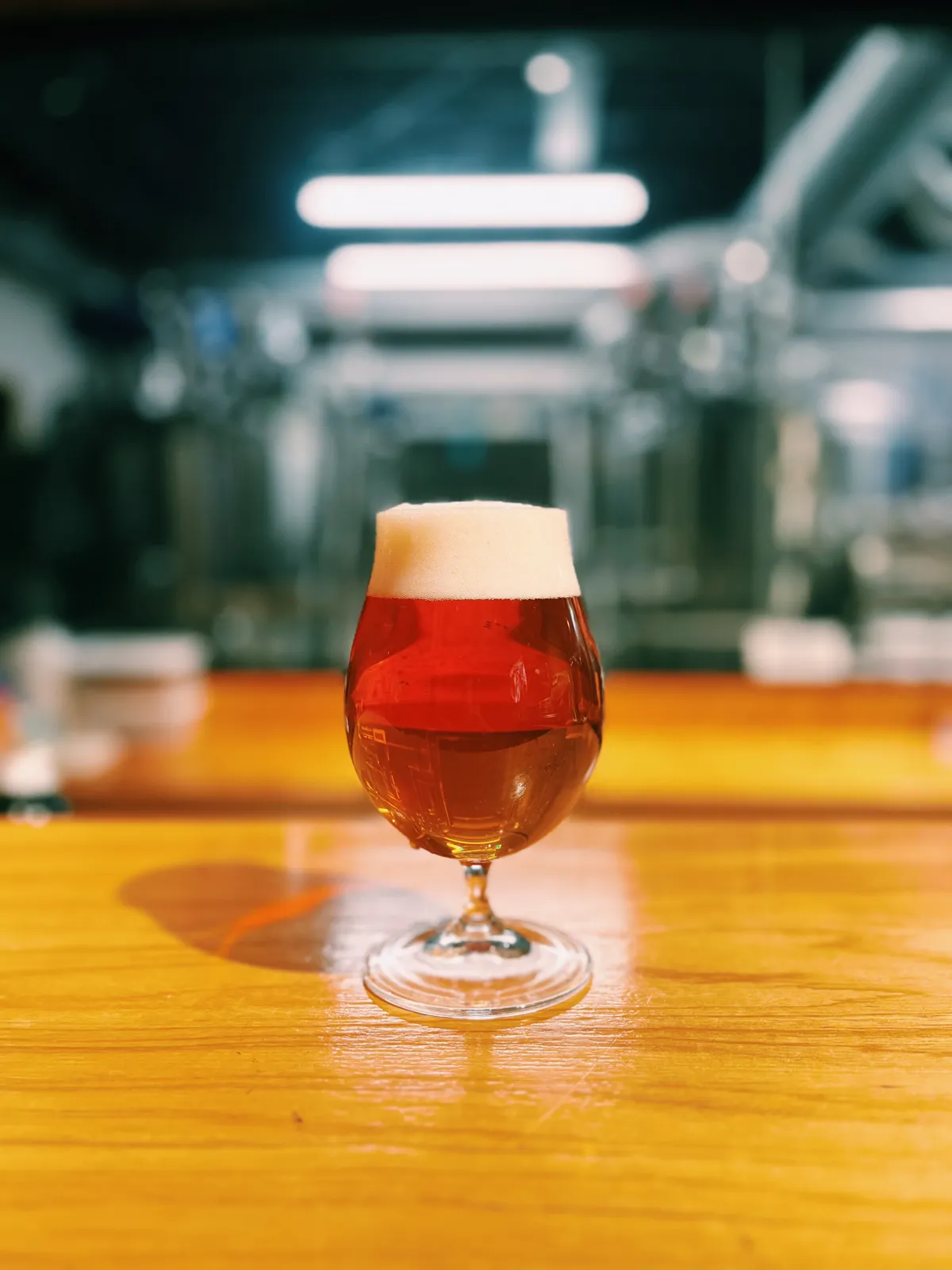 ROSEMARY IPA